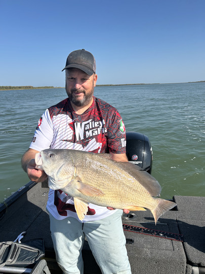 Freshwater Drum