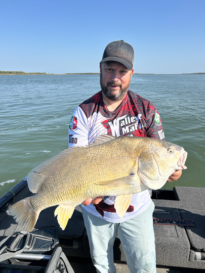 Freshwater Drum