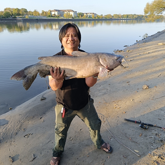 Channel Catfish