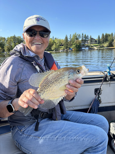 Black Crappie