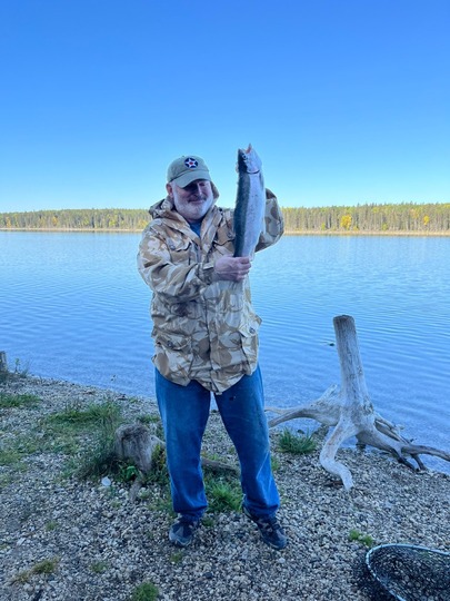Rainbow Trout
