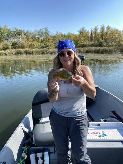 Sunfish