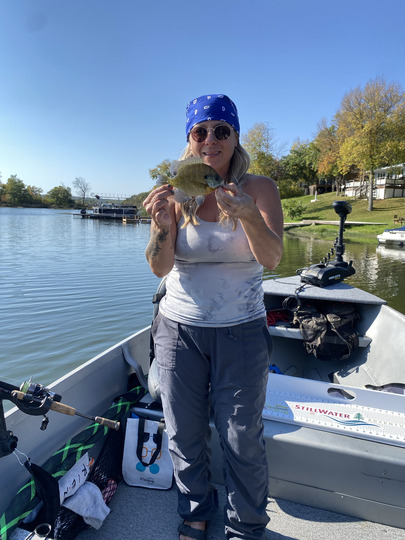 Sunfish