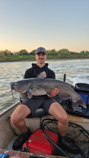 Channel Catfish