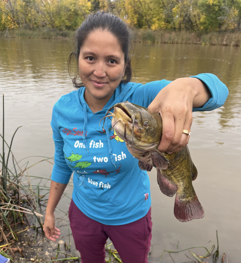 Bullhead
