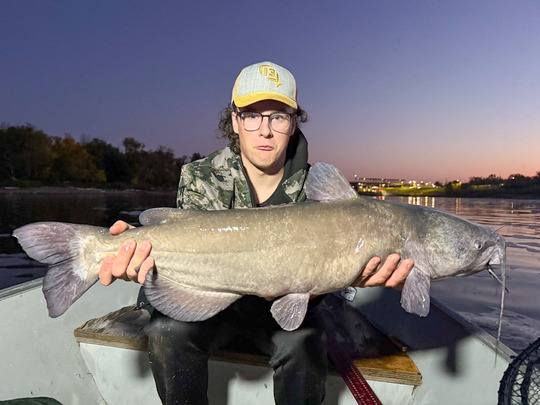 Channel Catfish