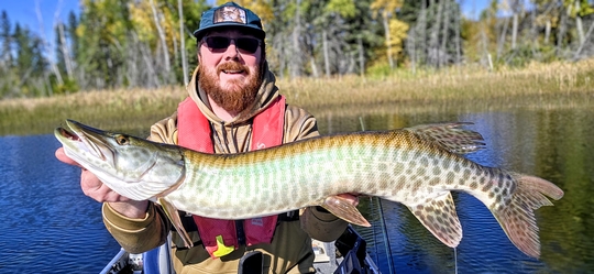 Muskellunge
