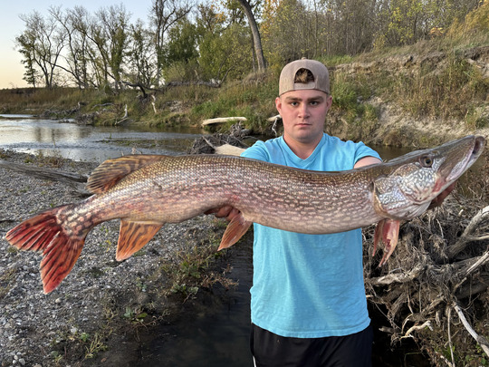 Northern Pike