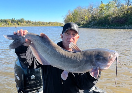 Channel Catfish