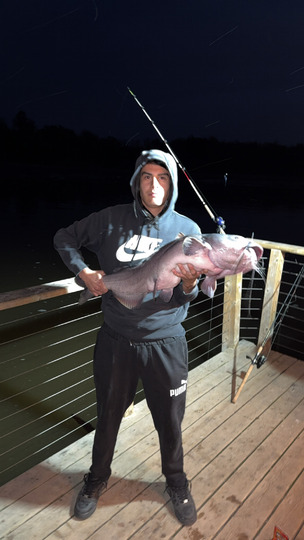 Channel Catfish