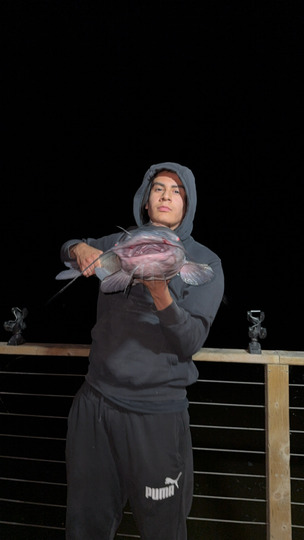 Channel Catfish