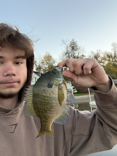Sunfish