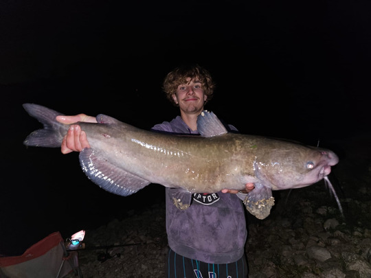 Channel Catfish