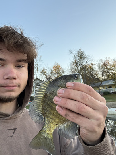 Sunfish