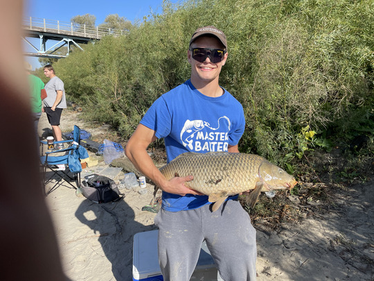 Common Carp