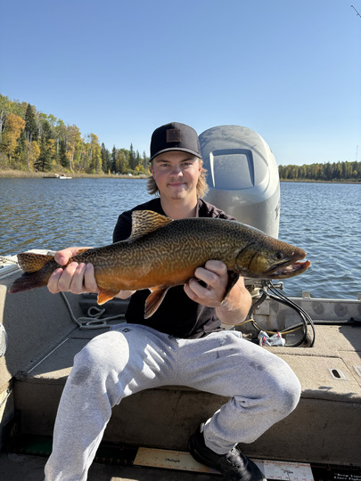 Tiger Trout