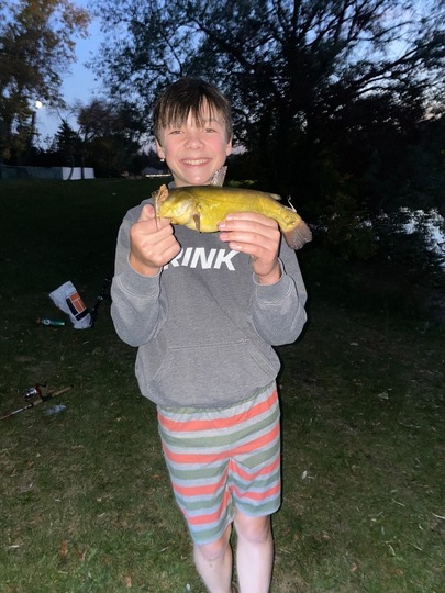 Bullhead