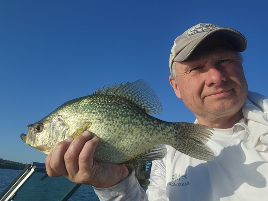 Black Crappie