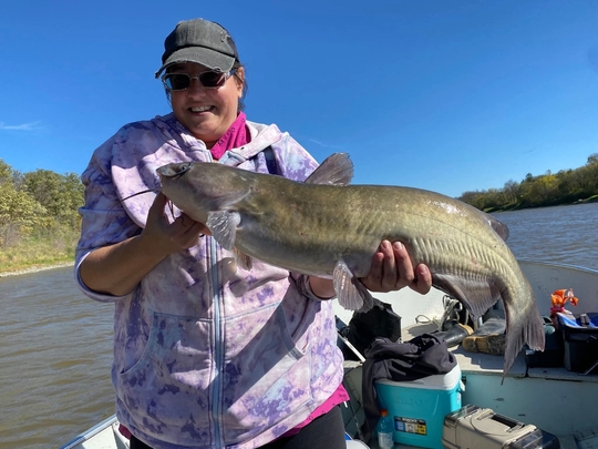 Channel Catfish