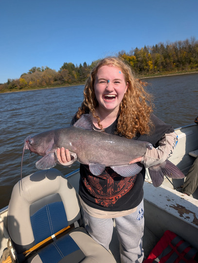 Channel Catfish
