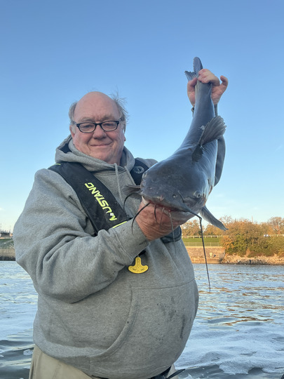 Channel Catfish
