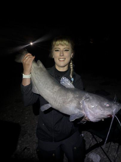 Channel Catfish