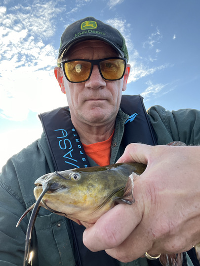 Bullhead