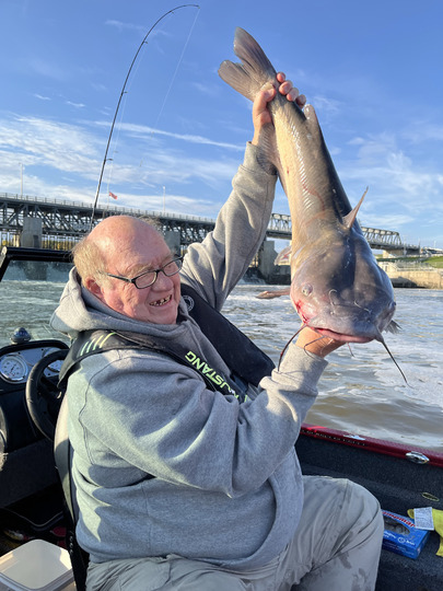Channel Catfish