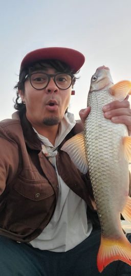 Sucker