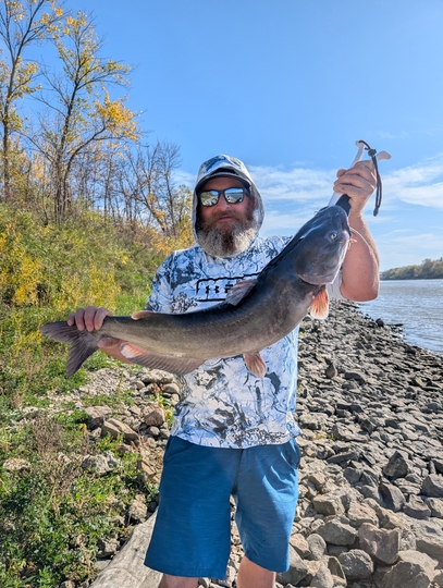 Channel Catfish