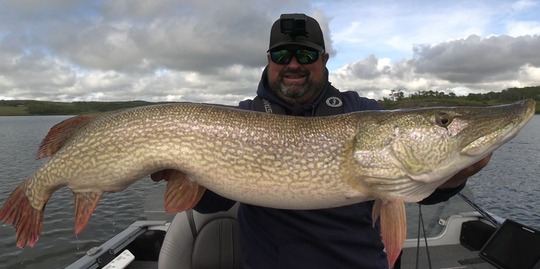 Northern Pike