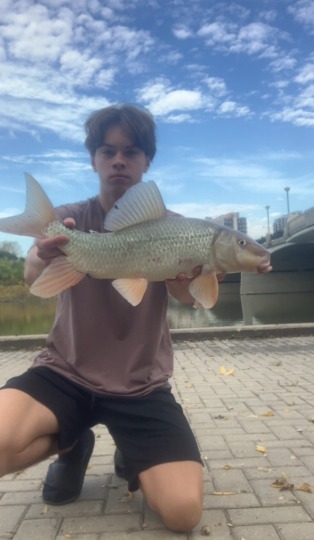 Sucker