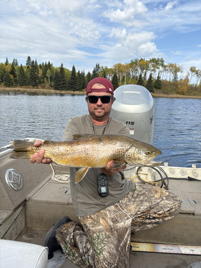 Tiger Trout