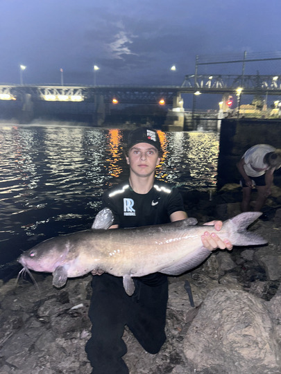 Channel Catfish