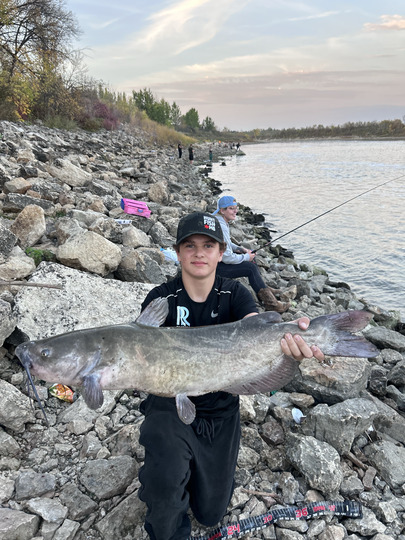 Channel Catfish