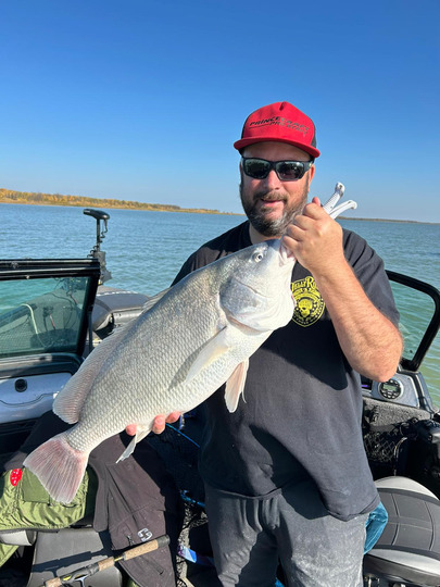 Freshwater Drum