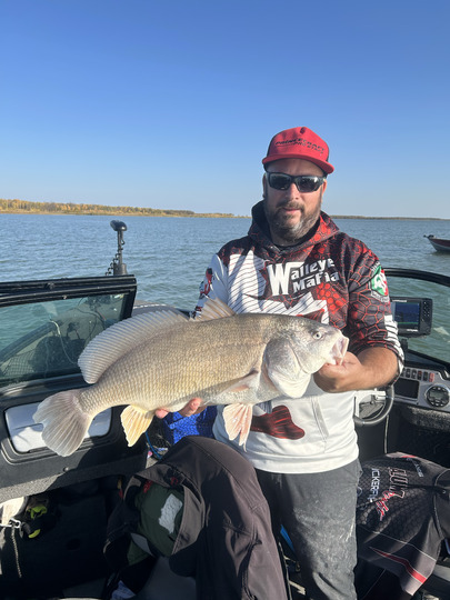 Freshwater Drum