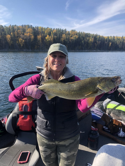 Walleye
