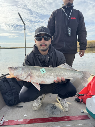 Walleye