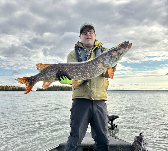 Northern Pike