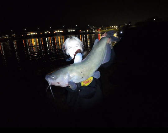 Channel Catfish