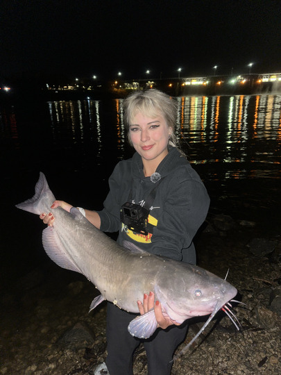 Channel Catfish