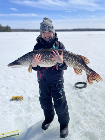 Northern Pike