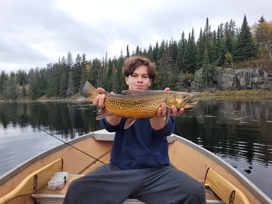 Tiger Trout