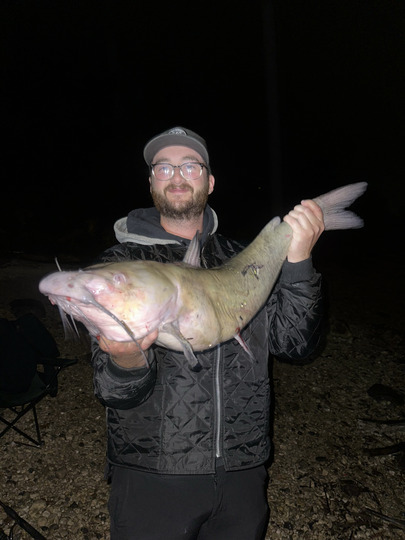 Channel Catfish