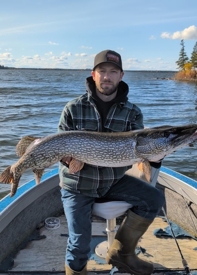 Northern Pike