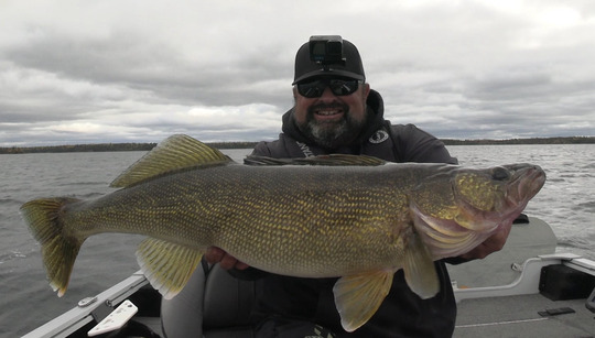 Walleye