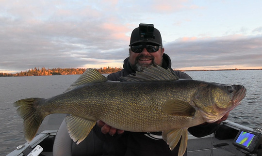 Walleye