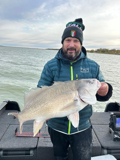 Freshwater Drum