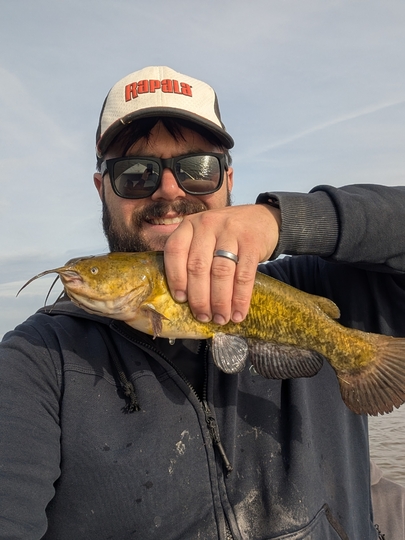 Bullhead